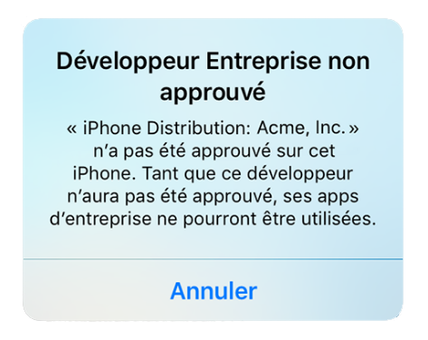 Développeur Entreprise non approuvé. X n'a pas été approuvé sur cet iPhone. Tant que ce développeur n'aura pas été approuvé, ses apps d'entreprise ne pourront être utilisées.
