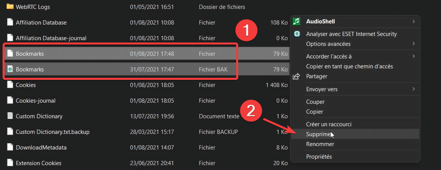 Capture d'écran de la suppression des fichiers de favoris de Google Chrome dans appdata