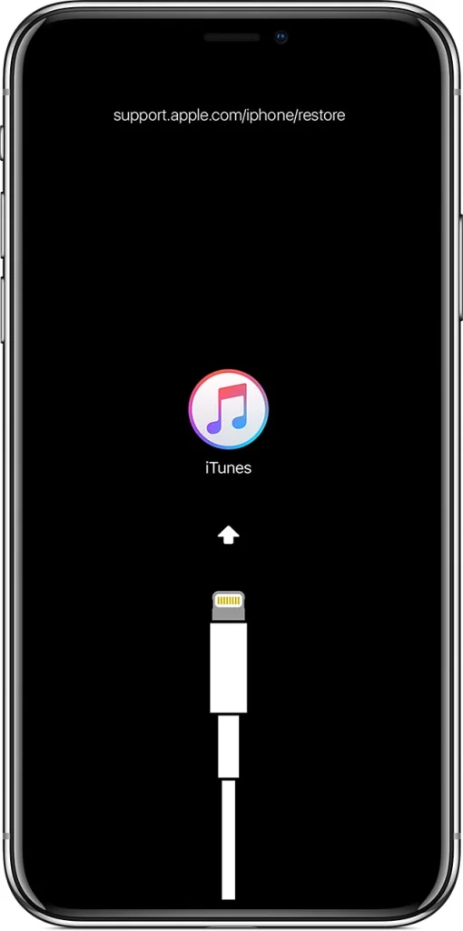 Ecran de récupération sur un iPhone X